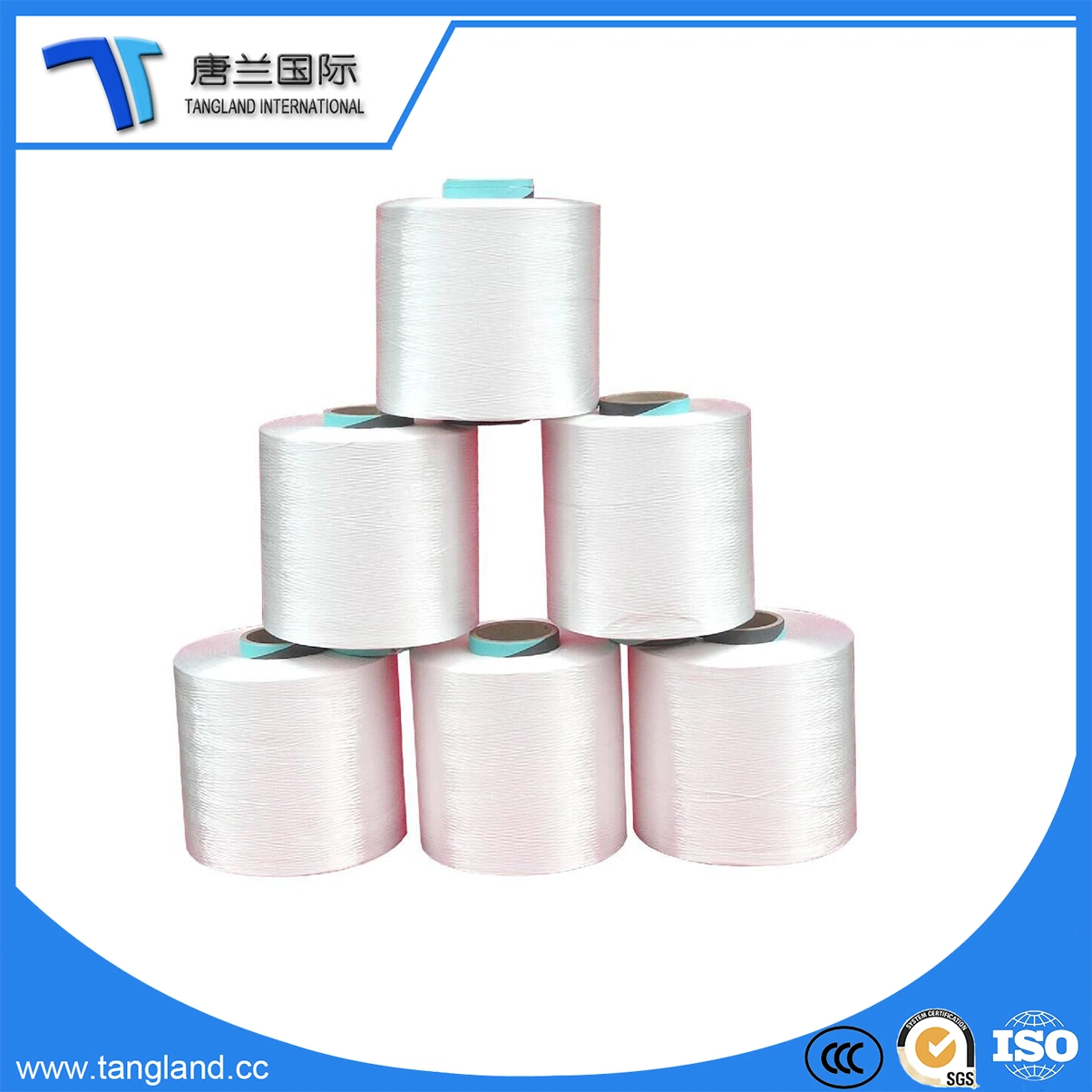 Nylon 6 Industrial Yarn Natural White for Sale in China