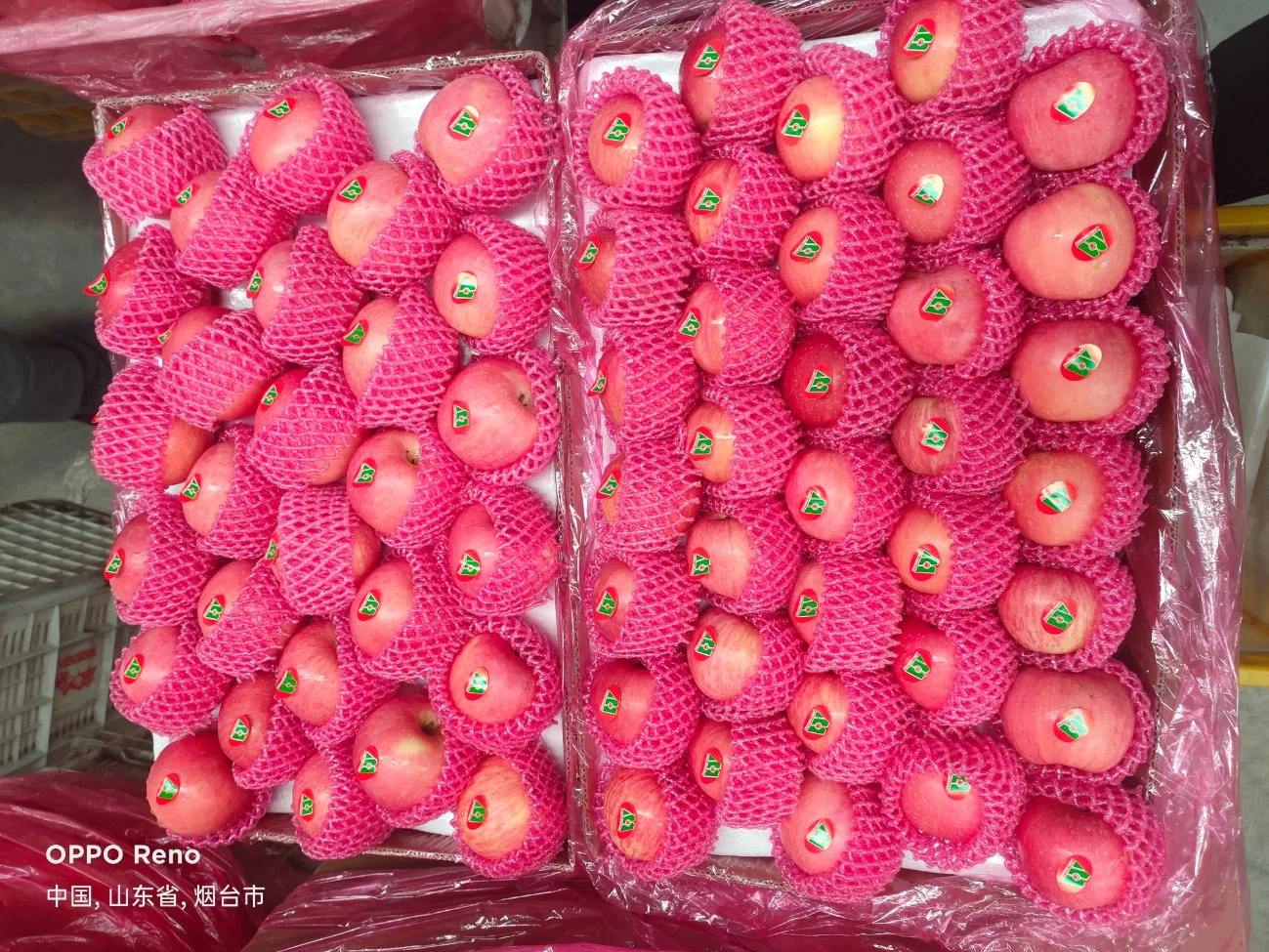 2020 Crop China Fresh FUJI Apple