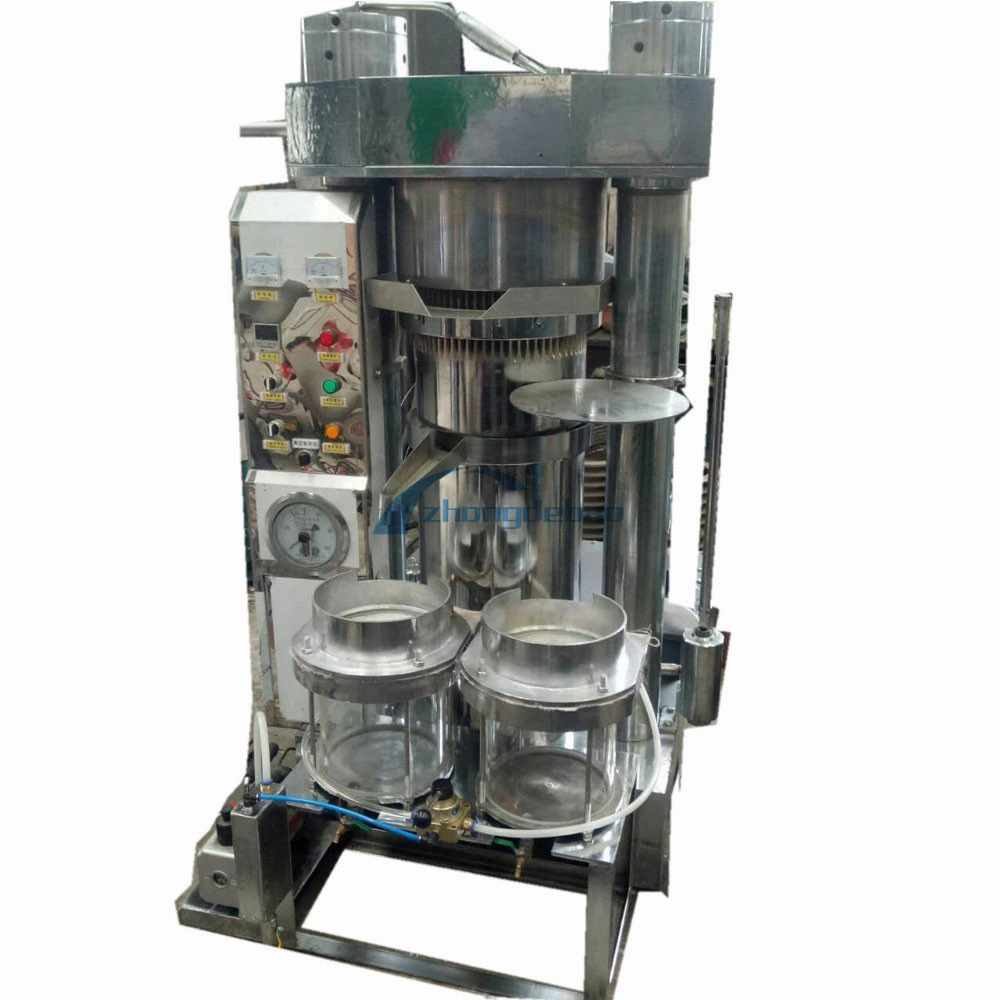 300 Kg/H Automatic Avocado Oil Press Processing Line Top Qua; Ty in Factory Cheap Price