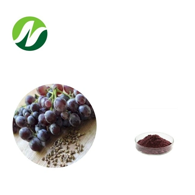 Chinese Factory High Purity Vitis Vinifera 95% Proanthocyanidins Grape Seed Extract