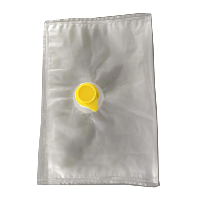 5L Transparent PE Bag for Liquid Cosmetics and Eggs and Other Food Packaging