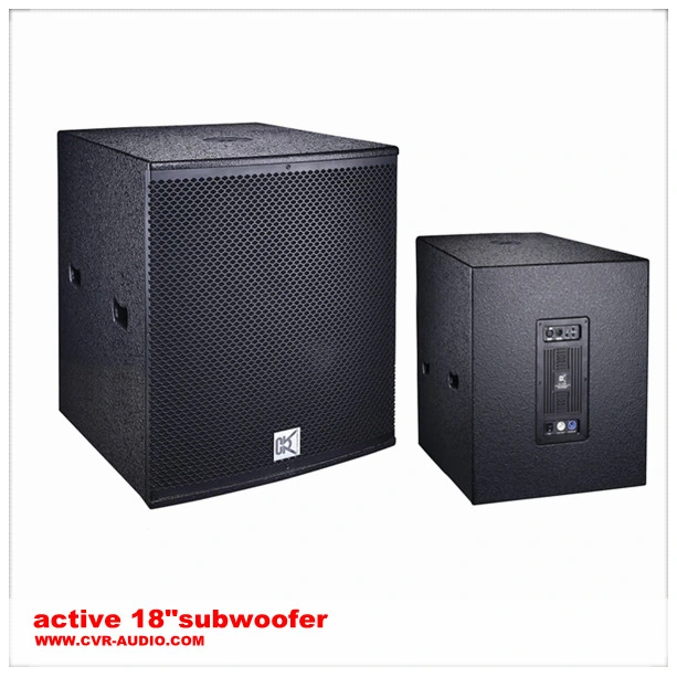 21" DJ Subwoofer Professional Audio Equipment