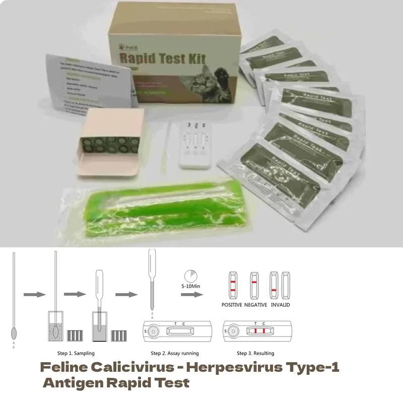 Feline Calicivirus - Herpesvirus Type-1 Antigen Rapid Test Fhv-Fcvag