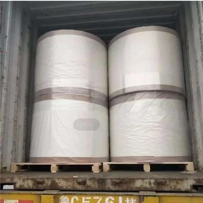 Fiberglass Roofing Tissue/Mat Building Material Made in China