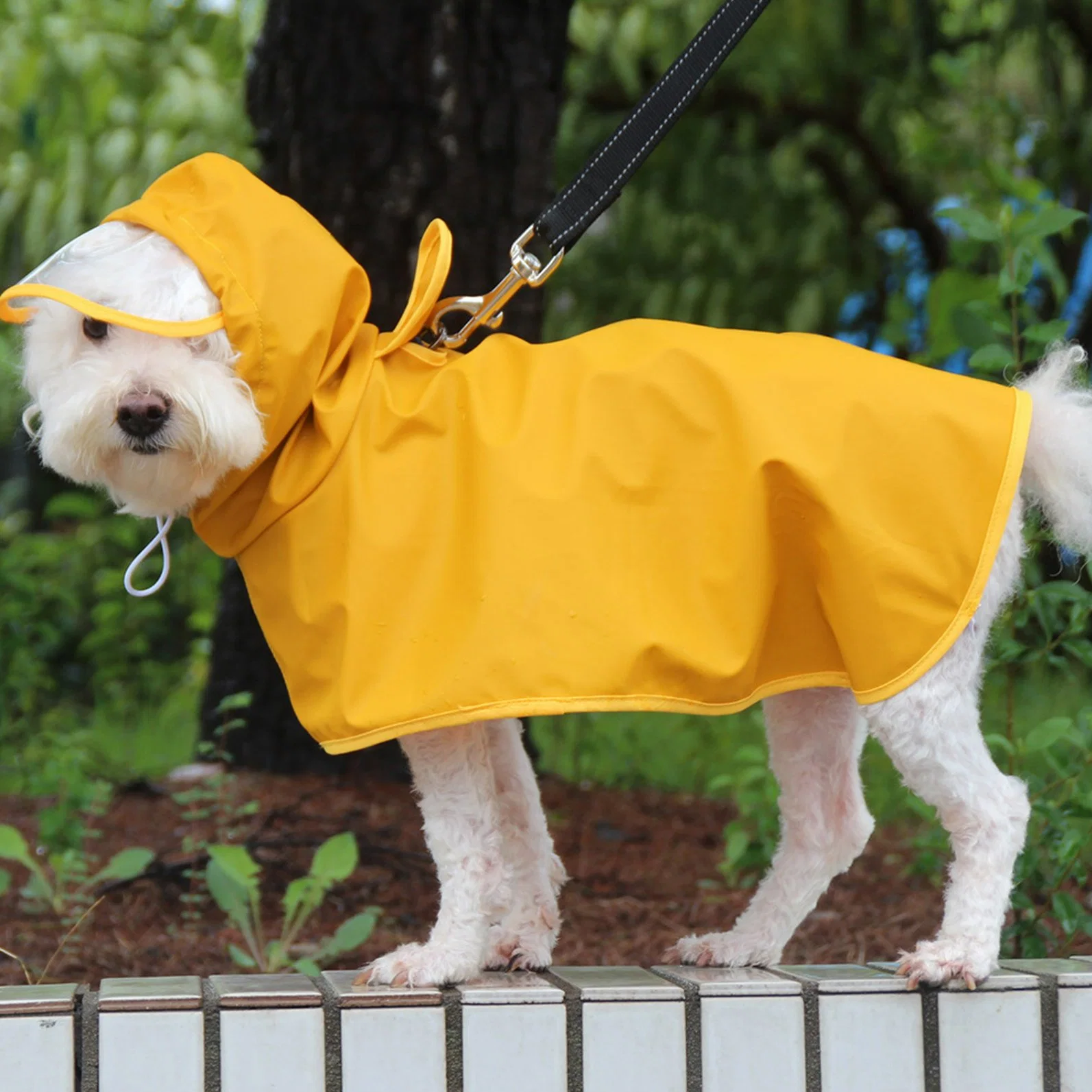 Waterproof Dog Raincoat Pet Rain Clothes