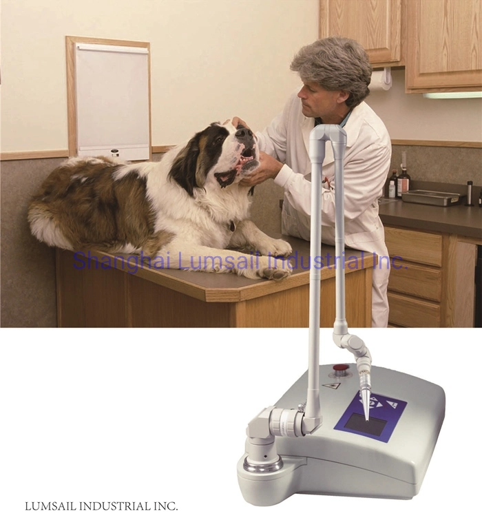 Veterinary CO2 Laser Equipment Manufacturer Vet Surgical CO2 Lasers Machine