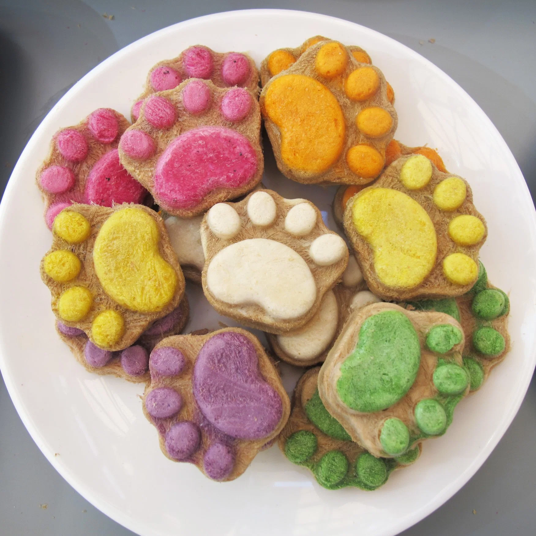 Etiqueta privada Galletas de alta proteína secas por congelación Gato Snack Perro tratar Accesorios para mascotas