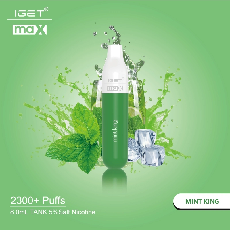 Iget Max 2300 bouffées goûter les saveurs de fruits jetables Mini cigarette électronique