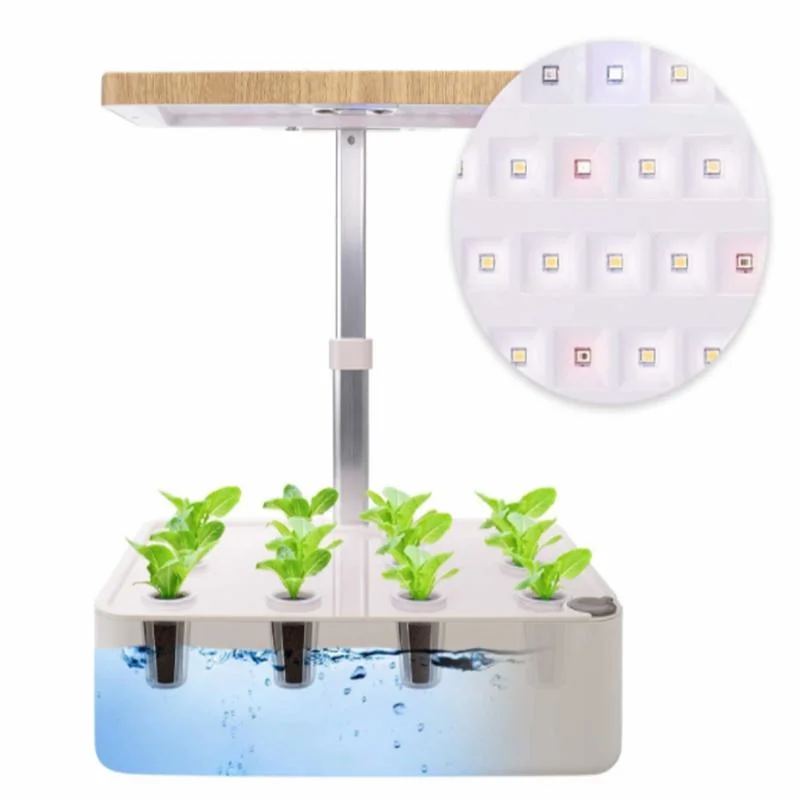 Indoor Garden Mini Hydroponic Growing System with LED Light