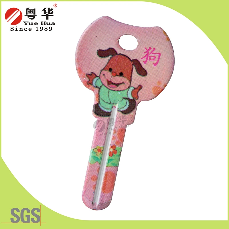 Top Security Color Elevator Door Key for Over Marketing