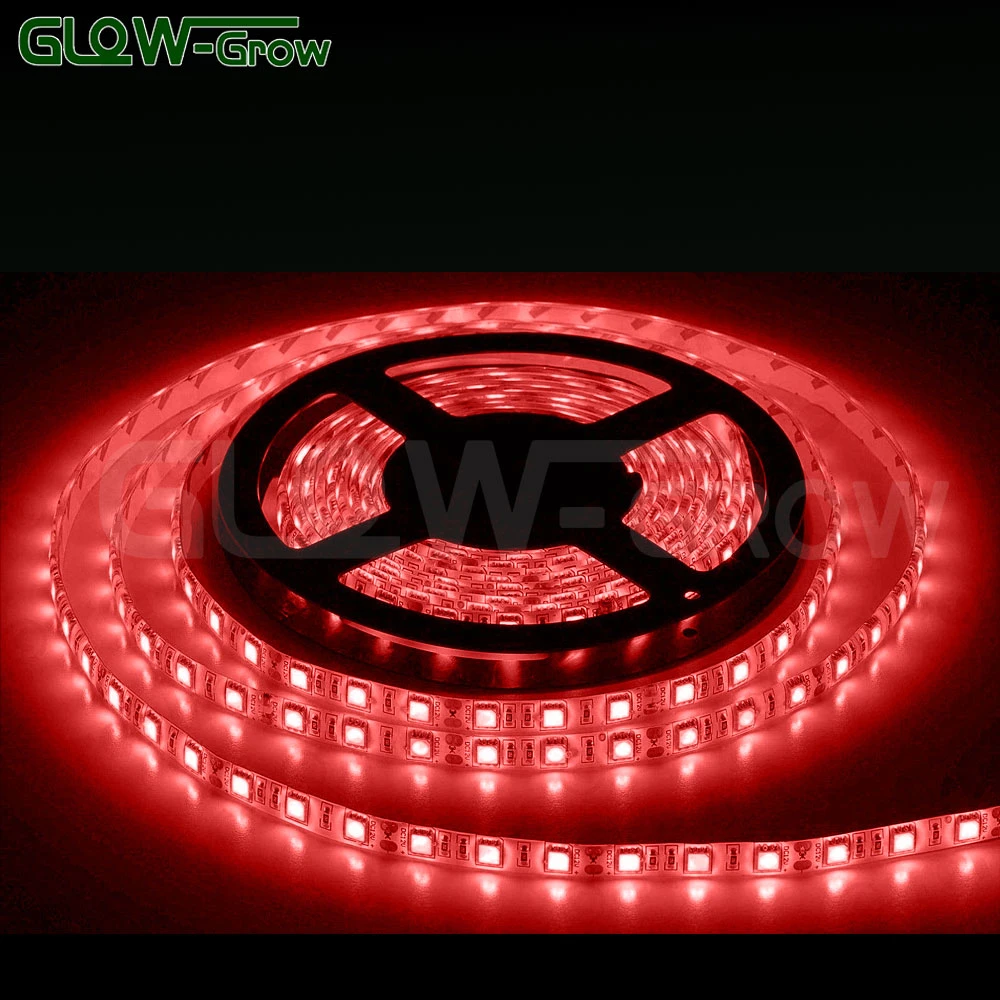 10m 30LEDs/M 3.6W/M 12V/24V Bande de lumière LED RGB SMD flexible pour décoration de bar, mariage, maison et Noël.