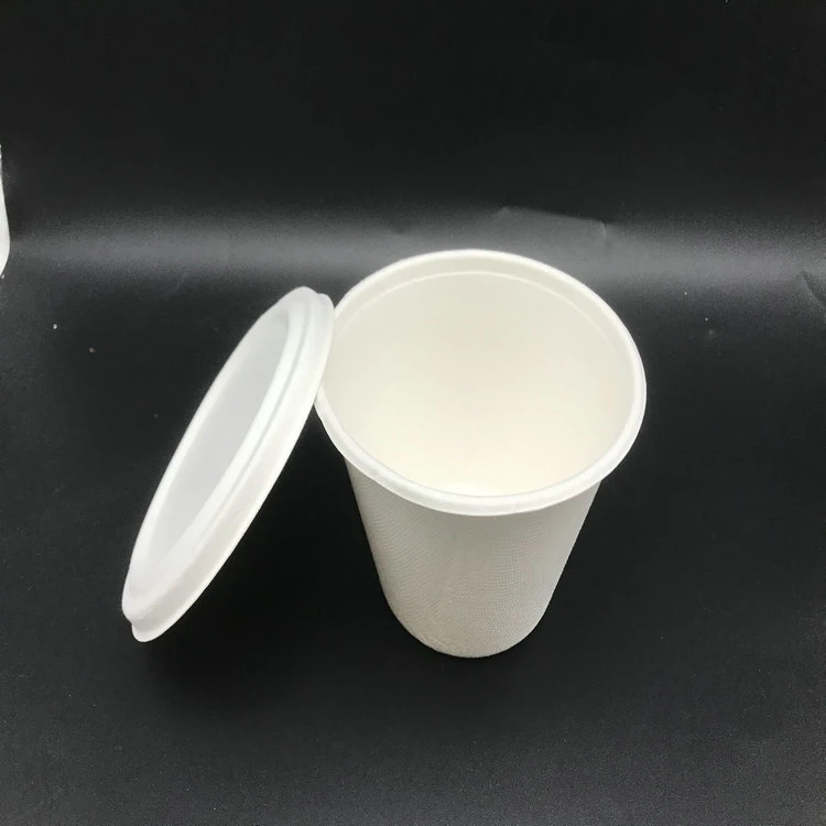 Disposable Compostable Sugarcane Bagasse Cup with Lid 500ml 17oz