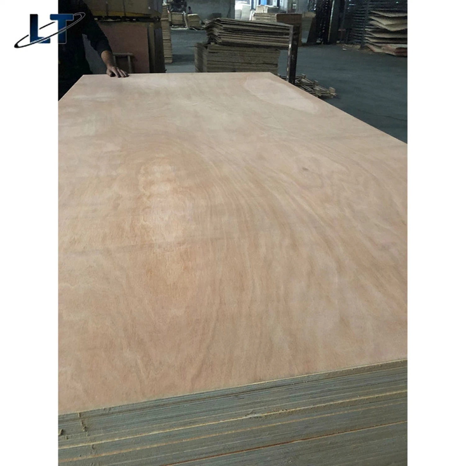 5mm 9mm 12mm 15mm 18mm Commercial Plywood Baltic Pencil Cedar Plywood Wholesale/Supplier Customized Thickness and Ply - Boards