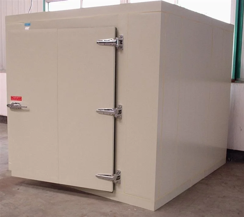 Customized Temperature Used Walk in Cooler Panels Cool Room Storage for Vegetable and Fruit