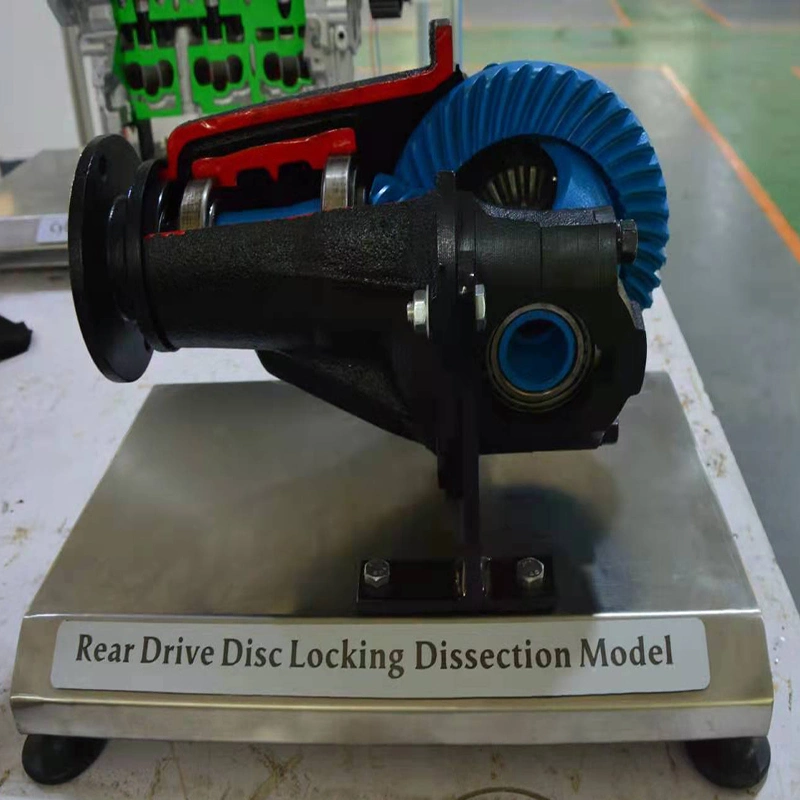 Ensino de automóvel Traseira do Modelo do disco rígido de dissecção de travamento modelo para os equipamentos de formação