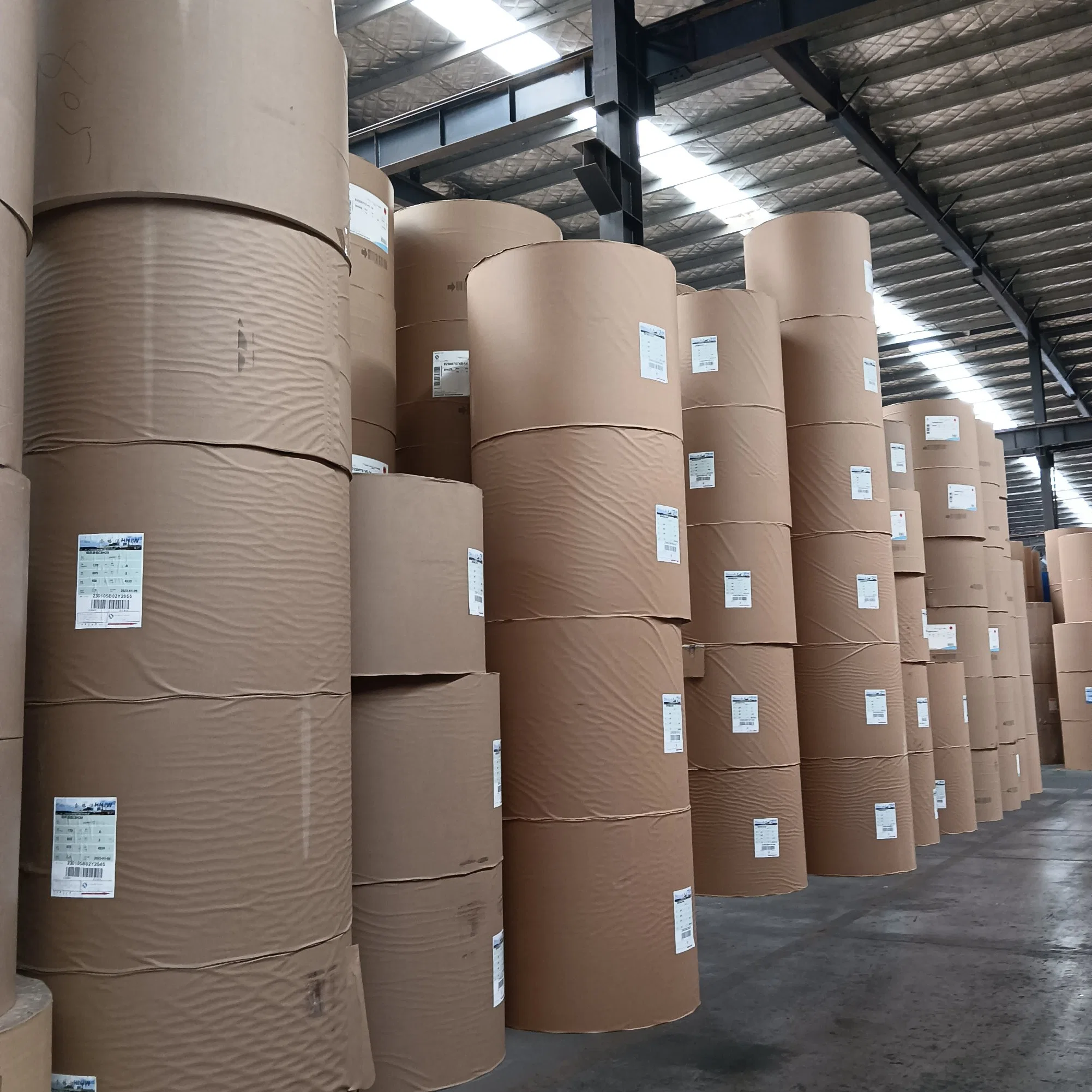 250g 300g 350g PE Coated Paper Roll Normal Bulk High Stiffness