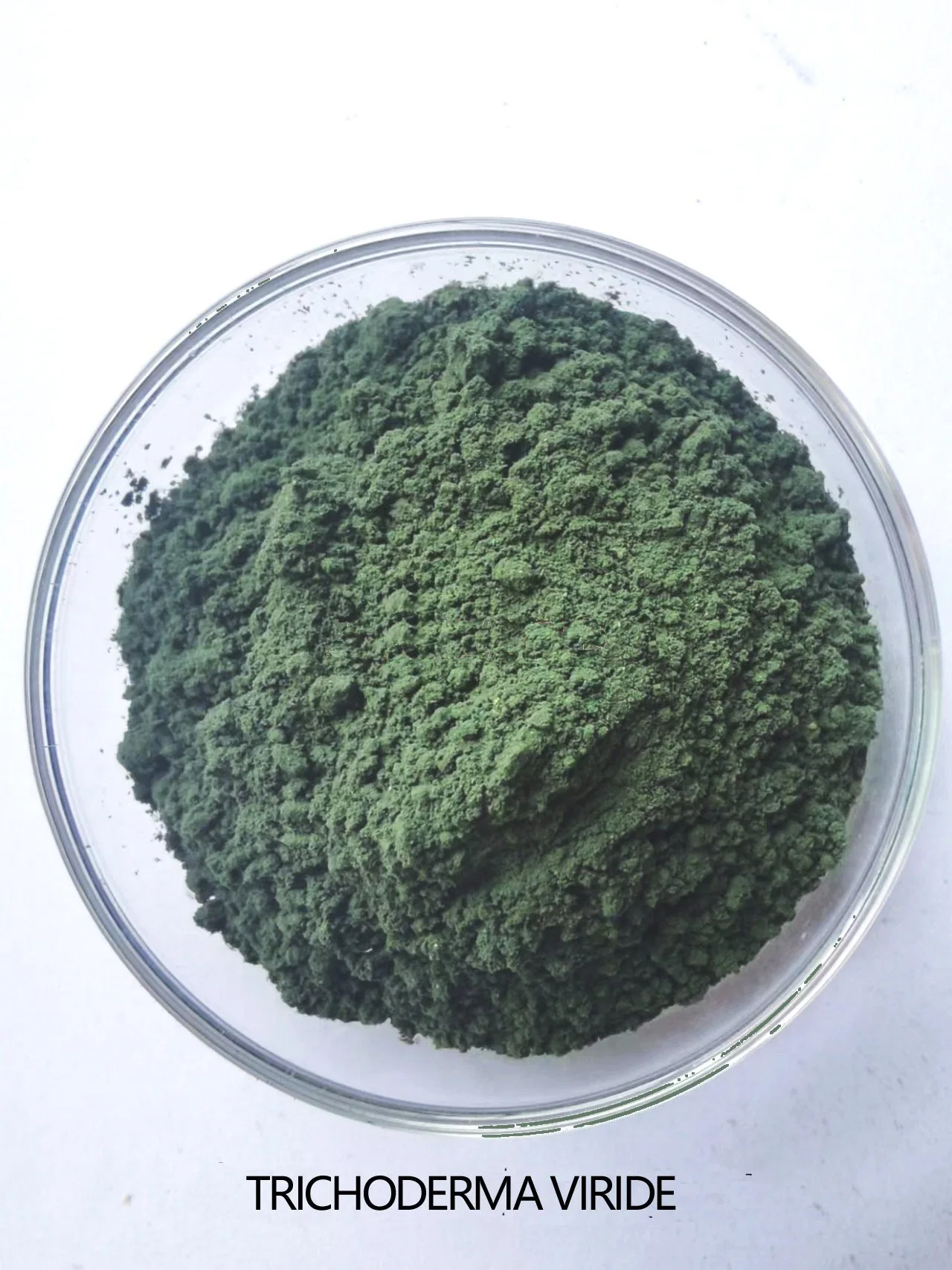 Organ Fertil Trichoderma Harzianum Powder Soil Conditioner