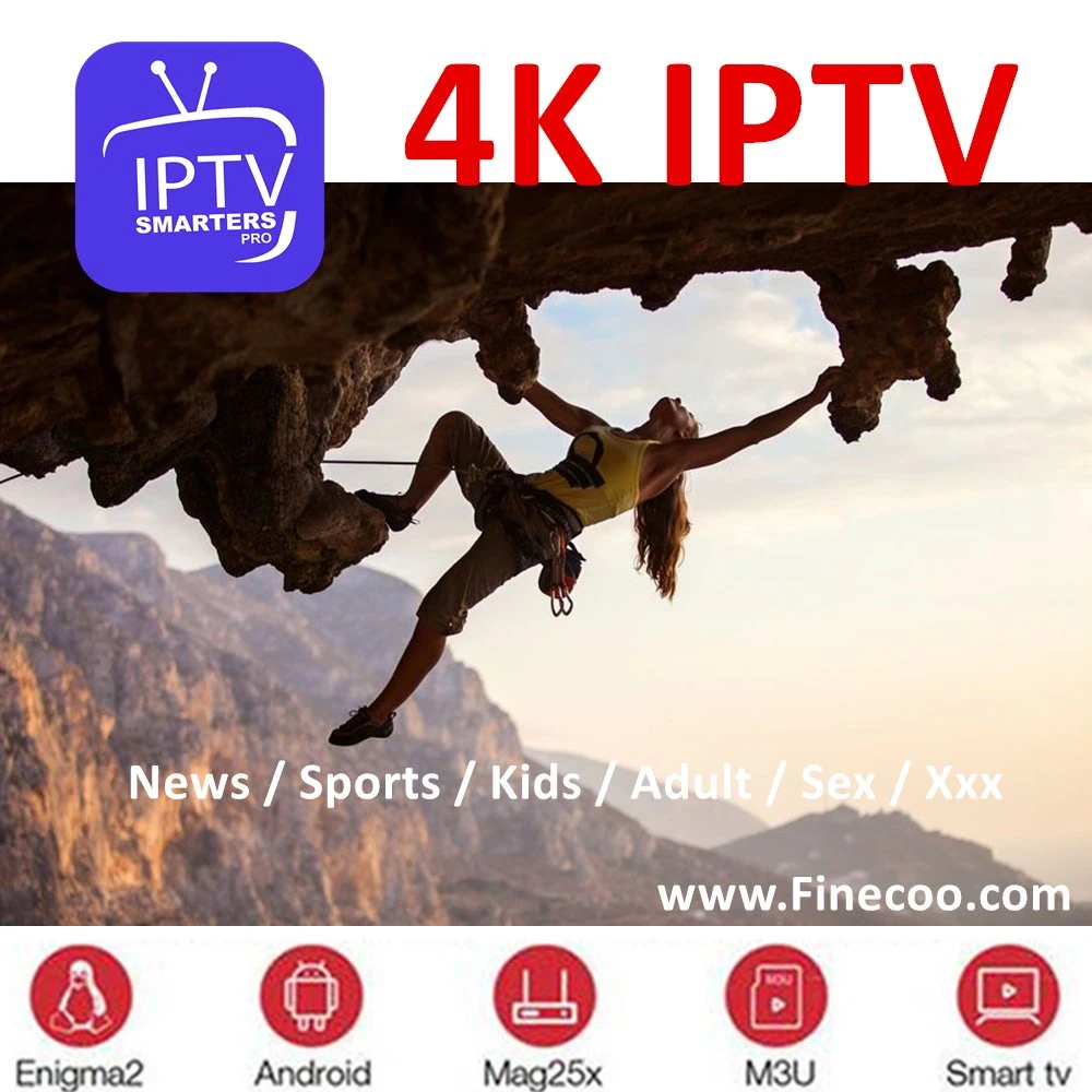 Panneau revendeur IPTV Android Code M3U Canal 4K pour Ott Téléviseur à dessus avec coffret