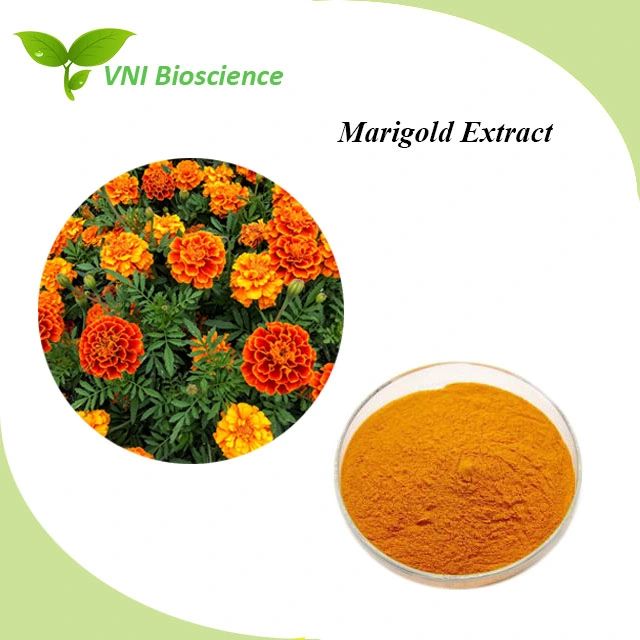 Certificado kosher Extracto Natural de Flores de Marigold 100%