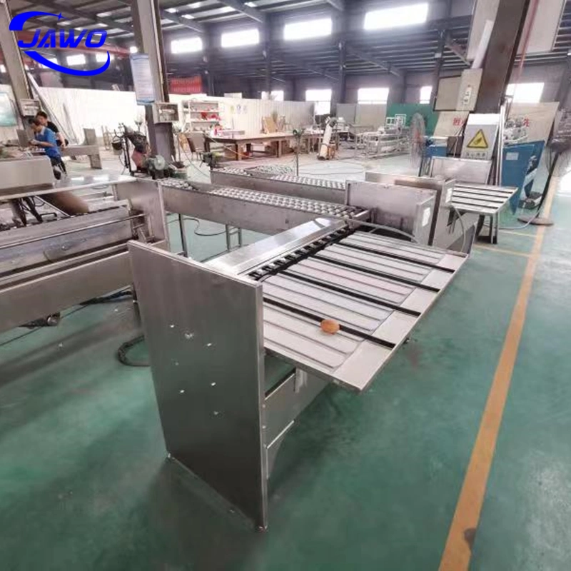 China Supplier Stainless Steel Egg Sorting Grading Machinery for Sale