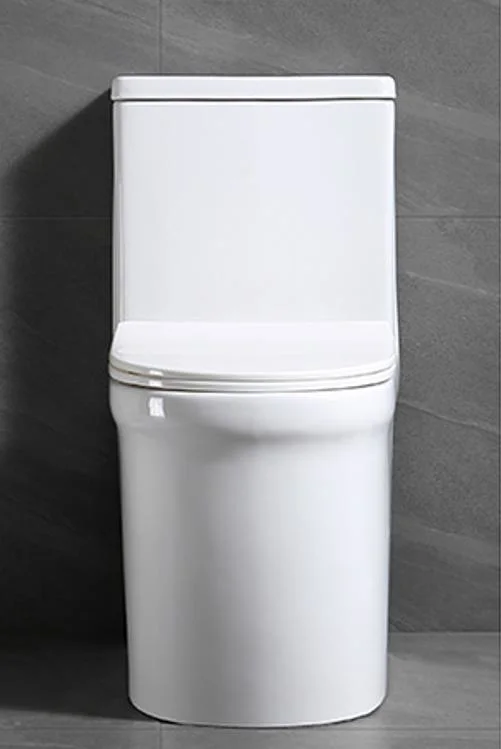 One Piece Toilet with Comfort Chair Seat Dual Flush White Toilet Bowl