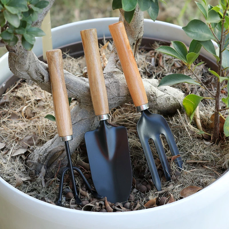 Good Quality 3 Pieces Bonsai Tools Set Wholesale/Supplier for Gardening Convenient Mini Garden Tools