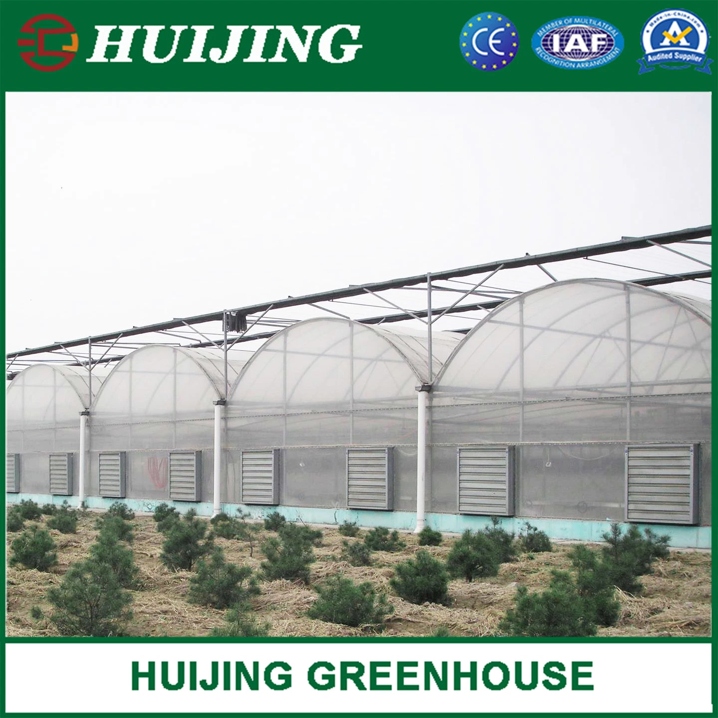 Cheap Customized UV Treated Plastic Film Greenhouse for Tomatoes