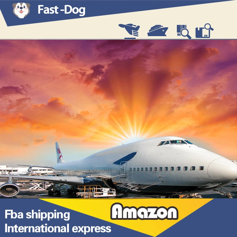 Sea Freight Forwarder to USA/UK/Italy/France/Germany Fba Amazon by Air Shipping From China DDP Door to Door Service