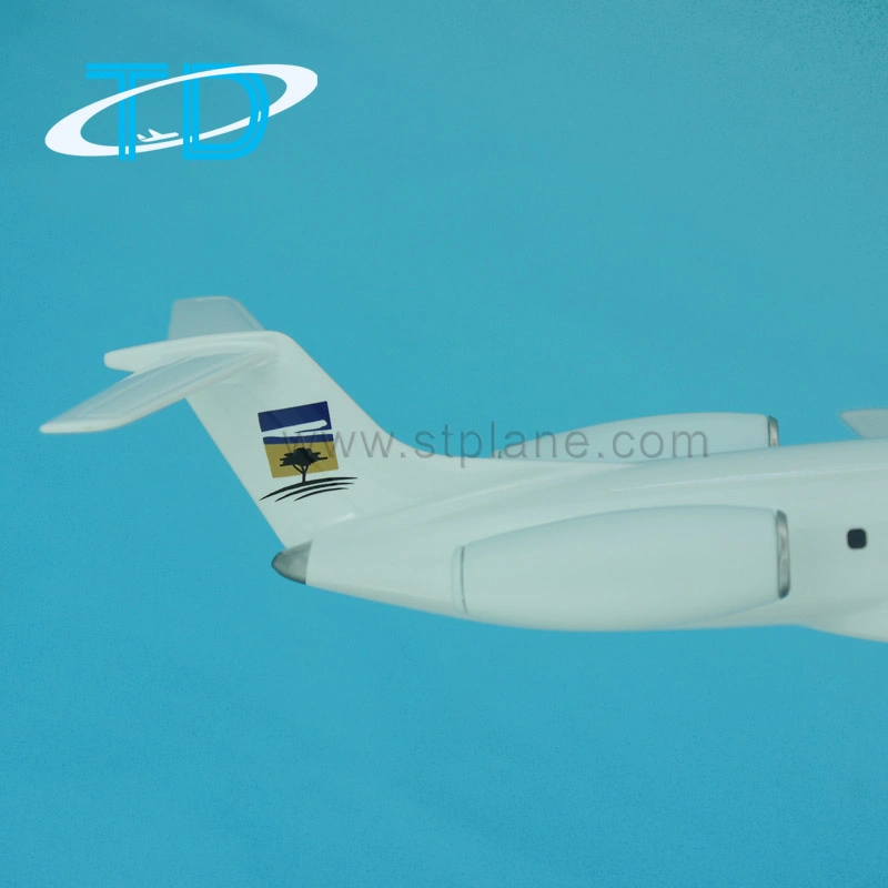 Solenta Erj-145 30cm 1/100 Embraer Model Aircraft