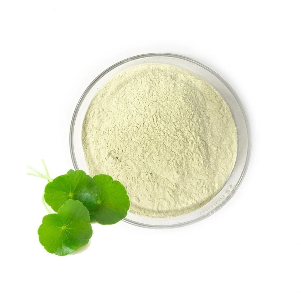 90% Asiatic Acid Centella Asiatica Gotu Kola Extract Powder