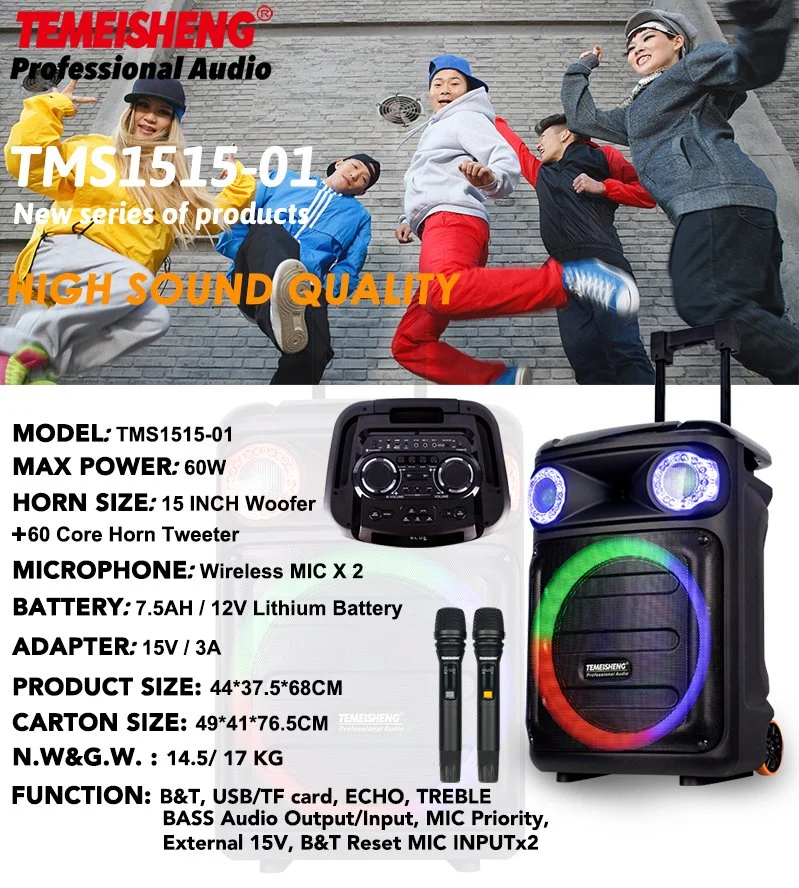 Temeisheng New Max Power 60W LED Bluetooth Audio Portable Trolley Party Speaker with Mic