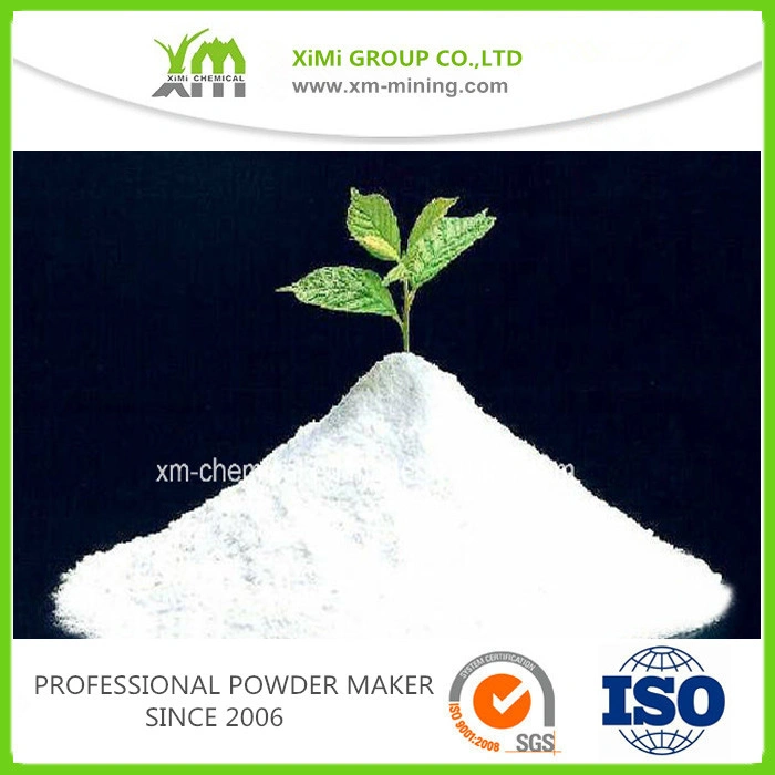 Ceramic Grade 95% Whiteness 600 Mesh Talc Powder