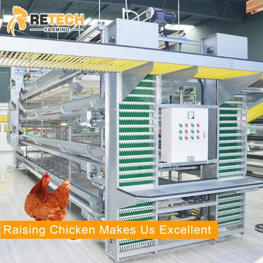 Good Price Automatic Poultry Farm Equipment Layer Laying Hens Chicken Battery Cage for Sale