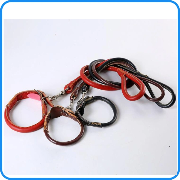 Factory Best Leather Pet Collar for Dogs (HP-106)