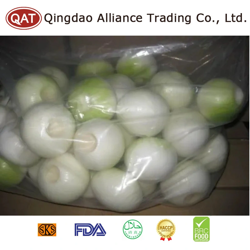 China Pelados Cebola Pelado Branca Natural Amarelo Verde descascada legumes frescos de cebola cebola com saco de malha