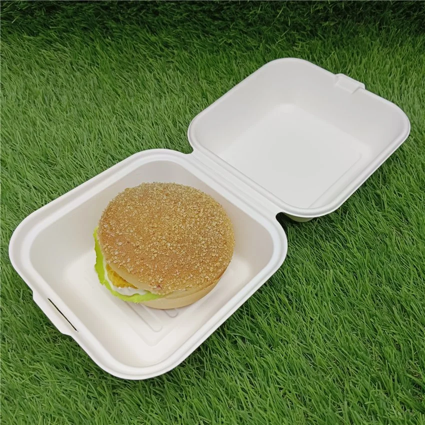 Single Compartment Clamshell Takeout Box Made From Eco-Friendly Plant Fibers