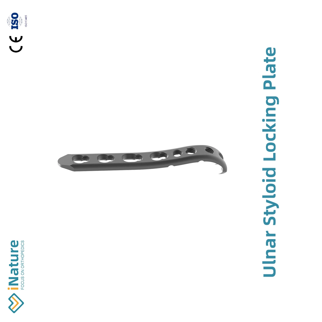 Orthopedic Implants Ulnar Styloid Locking Plate with CE&ISO