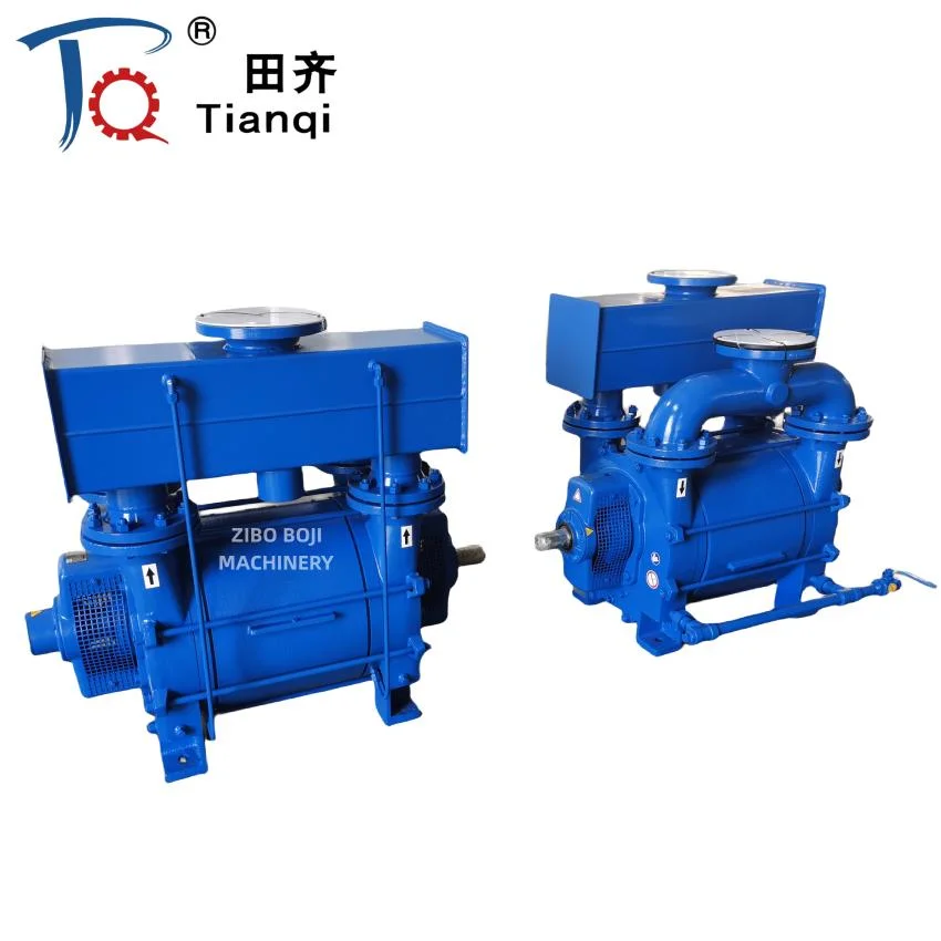 2be Piston Rotary Vane Pump Roots Liquid Water Ring Vacuum Pump for Paper Mill Chemical Fertilizer