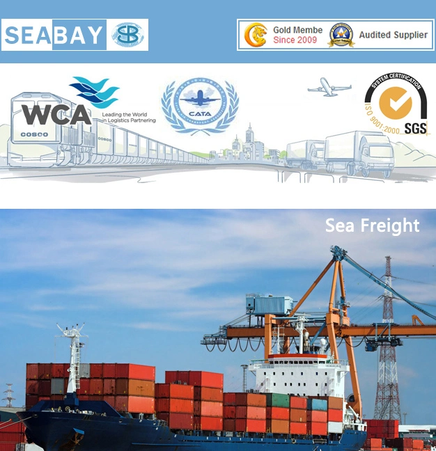 Guangzhou Shenzhen Shanghai Ningbo Tianjin Ocean Freight Forwarder Service to Monterrey Mexico