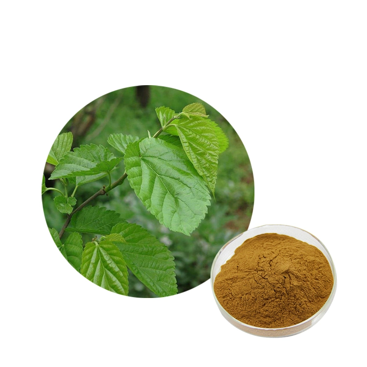 Comext Fssc 22000 China Manufacturer OEM Natural Mulberroside a Mulberry Leaf Extract