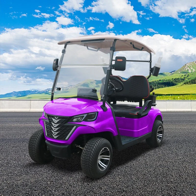 Nuevos Productos Nueva tendencia 2 Seater Forge G2 Electric Golf Carritos de golf Buggy