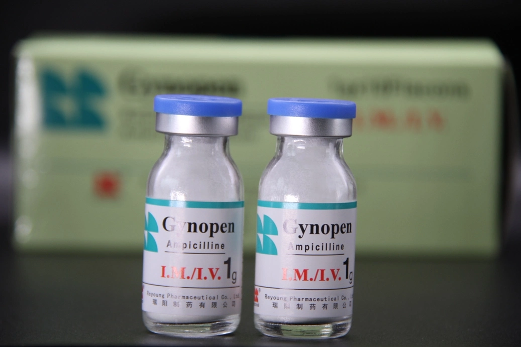 GMP Certified Ampicillin Sodium for Injection