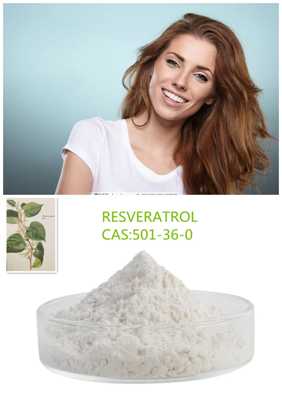 Herbal Extract Skin Care Anti-Aging 501-36-0 Trans-Resveratrol Resveratrol Powder for Good Healthy