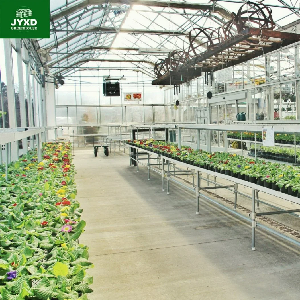Hydroponic Channel System in Greenhouse and Farm Channels for Hydroponic Growing