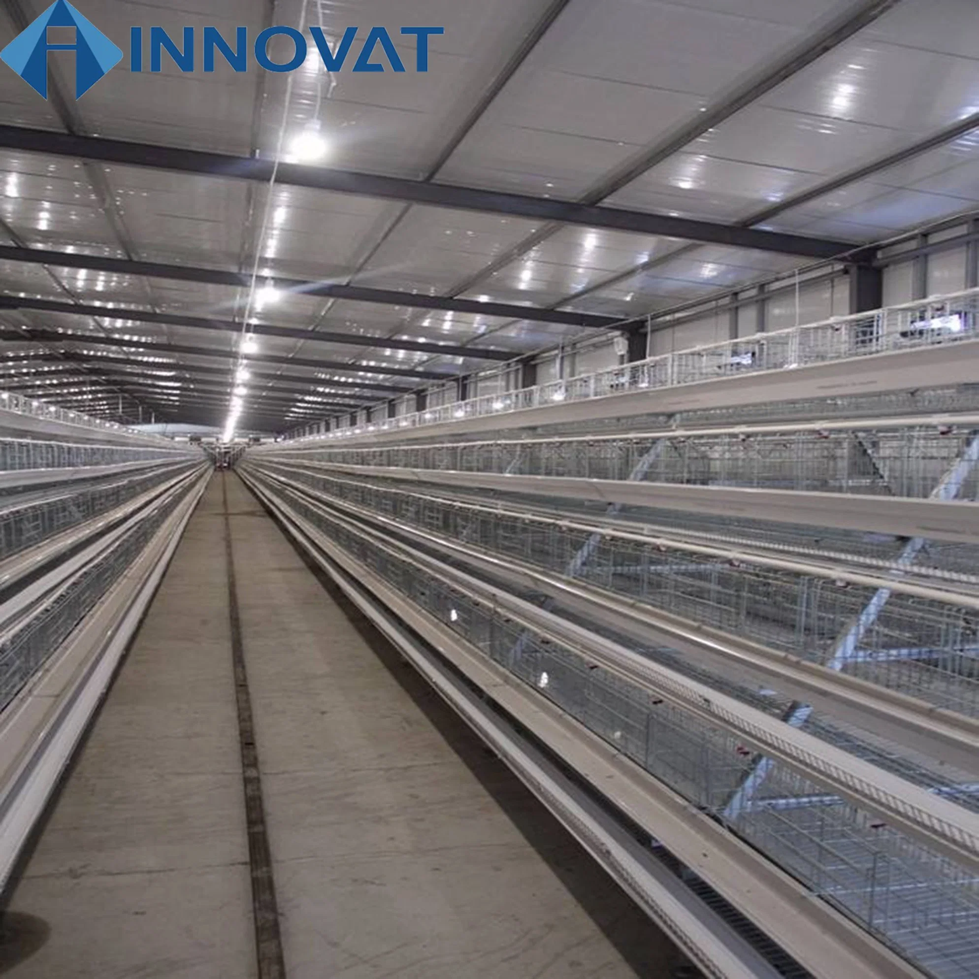 a Type Layer Chicken Cage Chicken Hot Dipped Galvanised Chicken Egg Layer Cage Chicken Cage Chicken Broiler Cage Broiler Poultry Farming Equipment