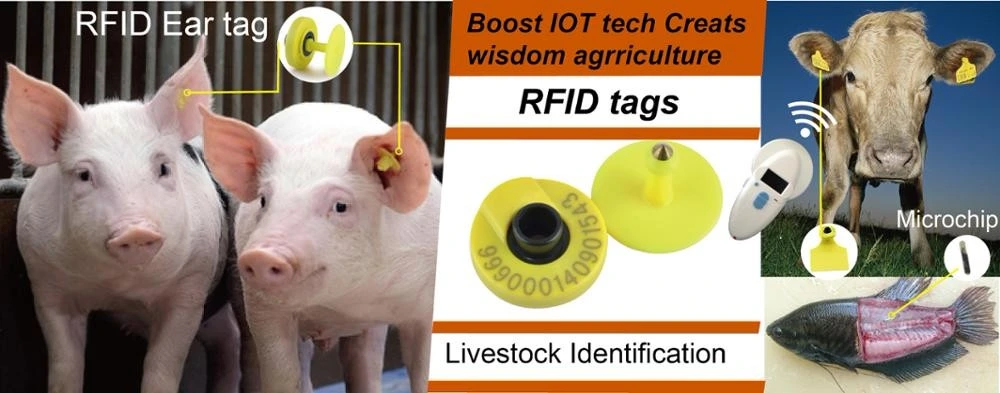 Wholesale Printable Animal Identification Tag for Farm