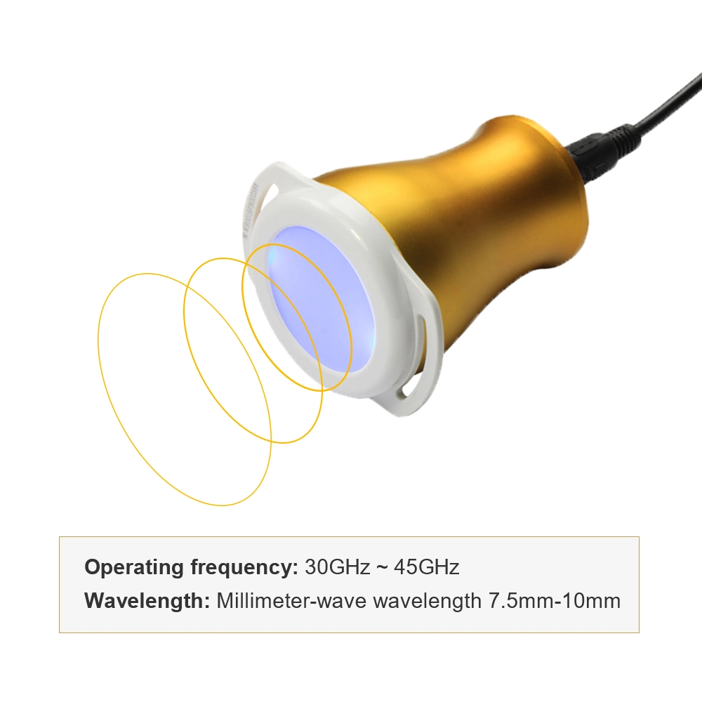 Cancer and Tumor Millimeter Wave Electromagnetic Wave Therapeutic Equipment