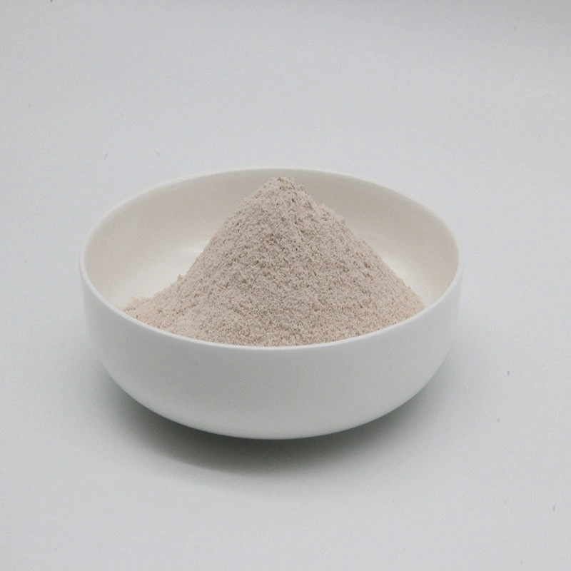 Feed Additive Clostridium Probiotic Clostridium Butyricum Powder Clostridium Butyrate