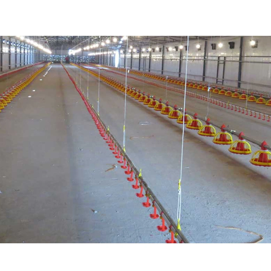 Poultry Farm Equipment Broilers Automatic Feeding Line and Drinking Line System