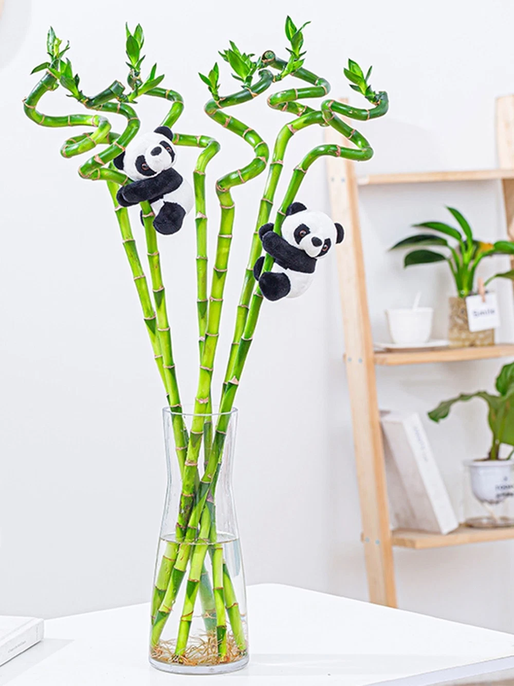 spiral Lucky Bamboo Artificial Flower Air Clean Bonsai Nursery Green Live Plants Wholesale/Supplier